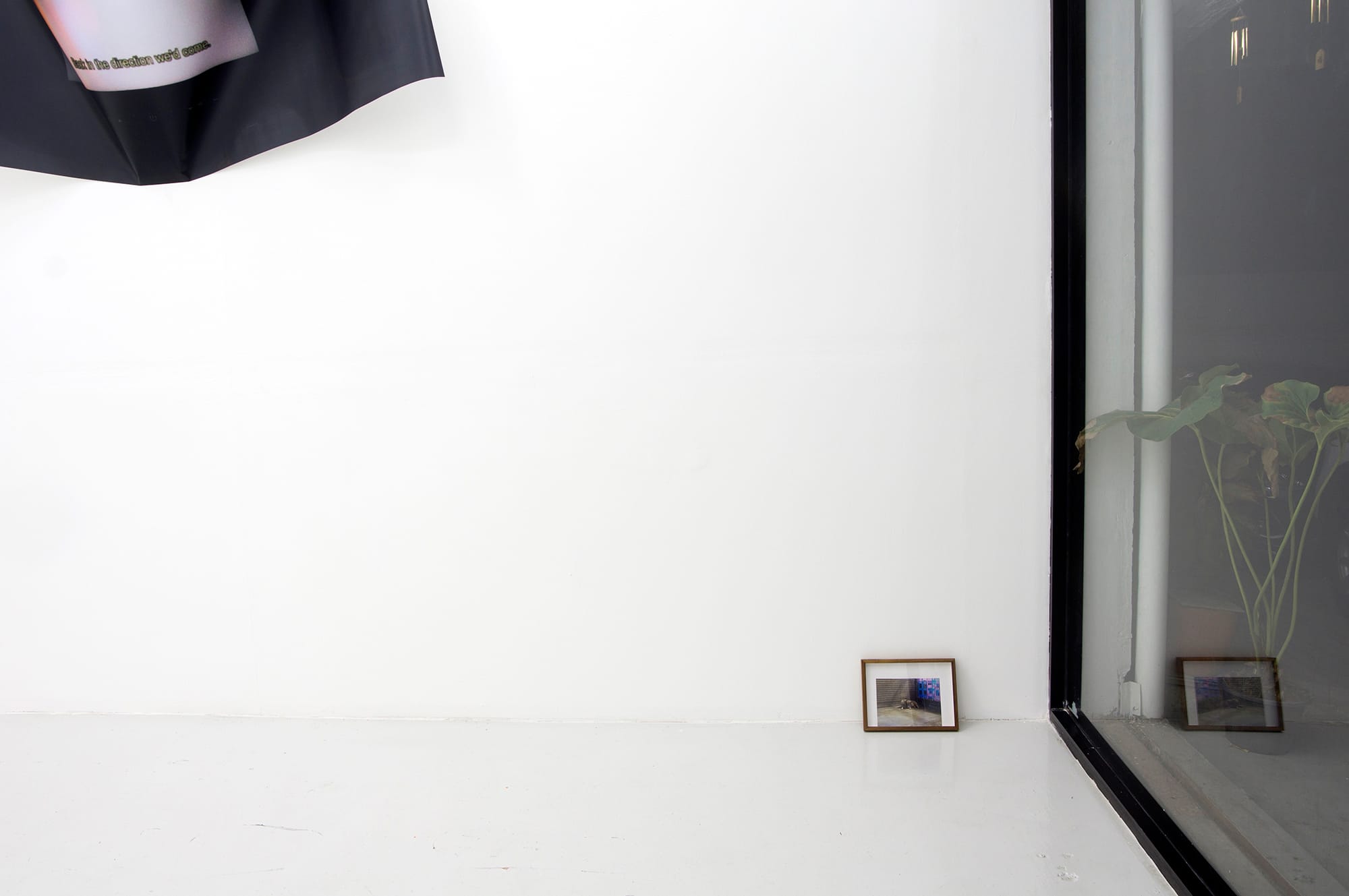 Noite install view 02